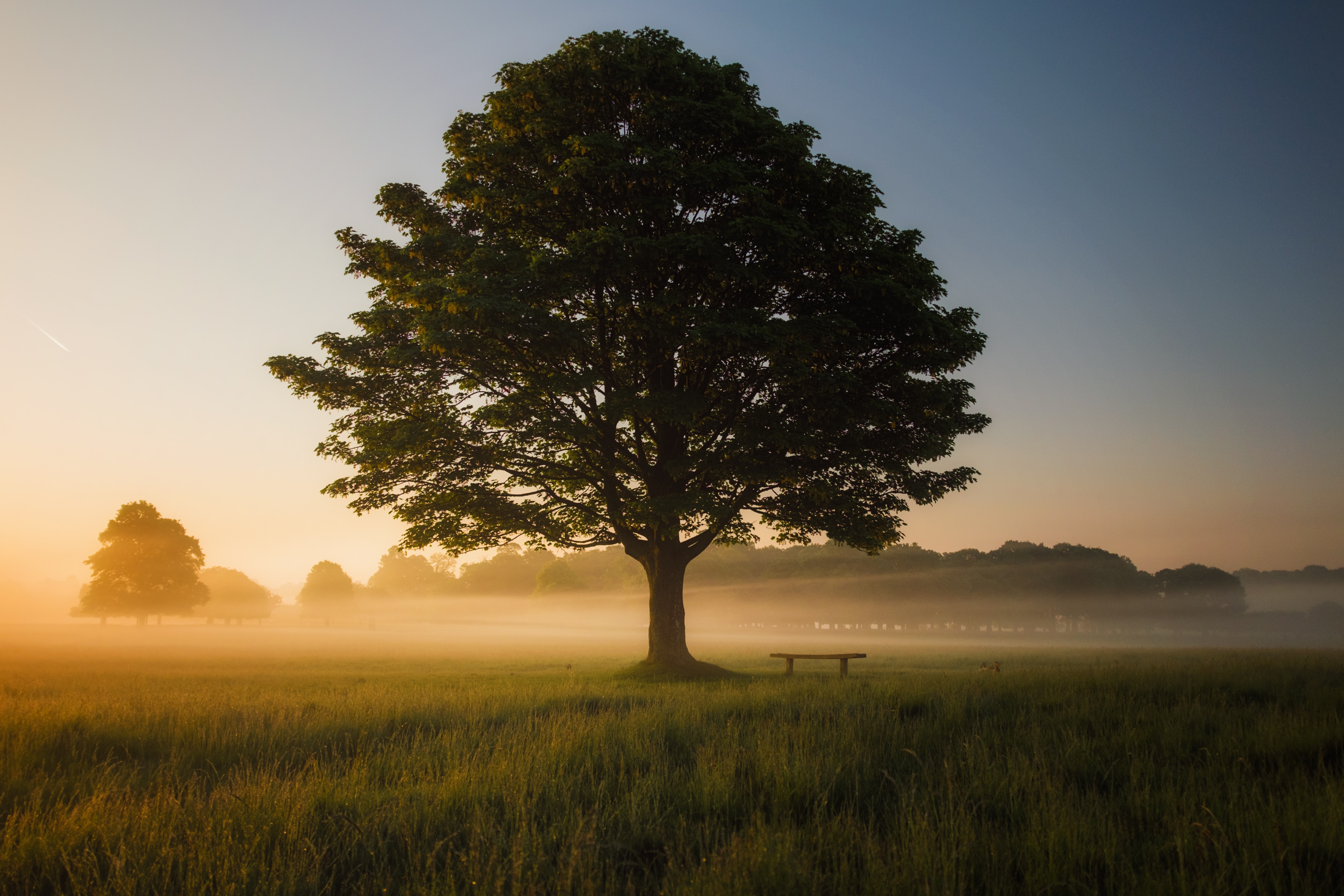 simon-wilkes-S297j2CsdlM-unsplash simon-wilkes-S297j2CsdlM-unsplash
